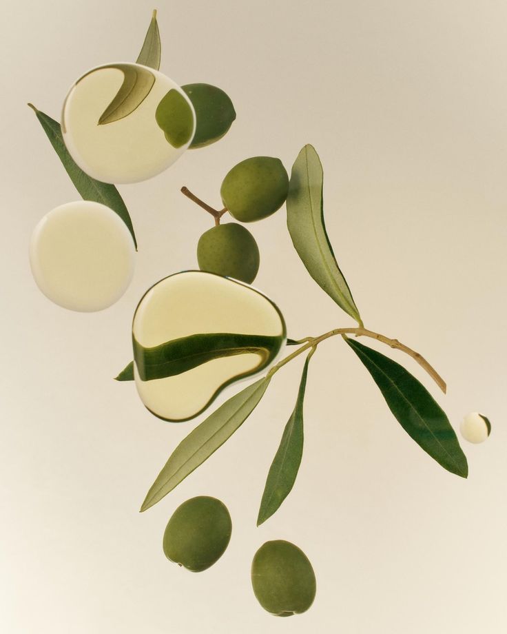 Elisir di Argan 10