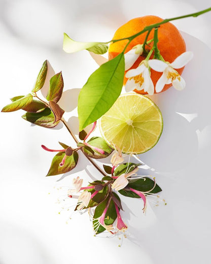 Gel douche crémeux Fleur d'Oranger 08