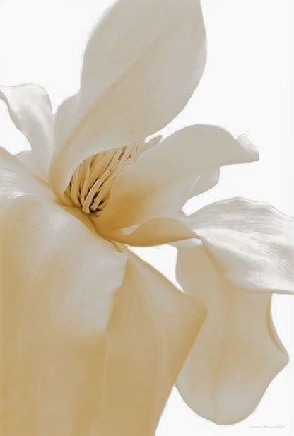 Island Vanilla 09